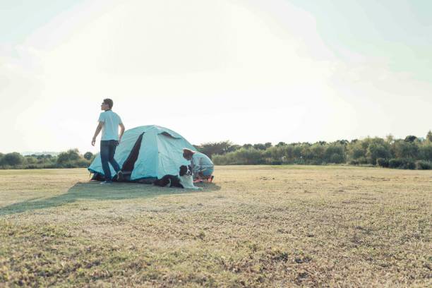 istock young couple pitching tent at a summer weekend 971366280