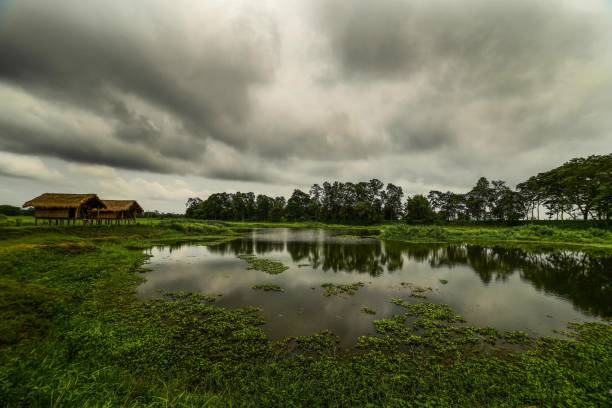 Majuli Island Majuli is the world's biggest river island in the Brahmaputra River, Assam and in 2016 became the first island to be made a district in India. majuli stock pictures, royalty-free photos & images