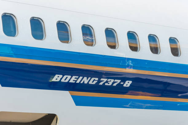 ボーイング 737-8 最大中国南部、空港プルコヴォ空港、ロシア サンクトペテルブルク。2018 年 6 月 2 日。 - boeing ストックフォトと画像