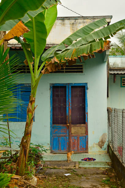 istock House in Can Tho 971385306