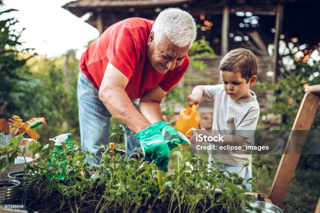 Farfar och barnbarn i trädgården - Royaltyfri Barn Bildbanksbilder