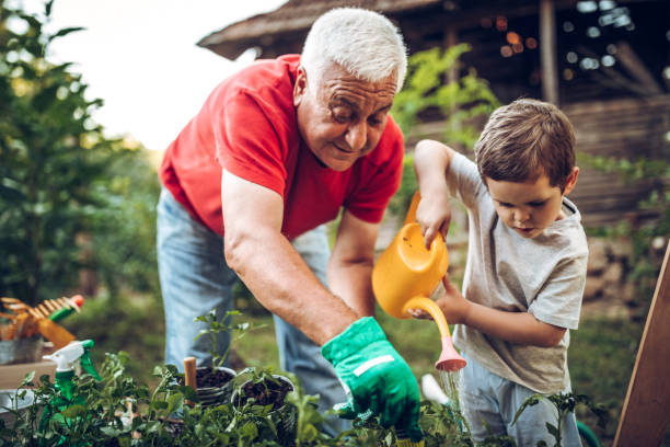 Grandfather and grandson in garden Grandfather and grandson playing in backyard with gardening tools senior lifestyle stock pictures, royalty-free photos & images