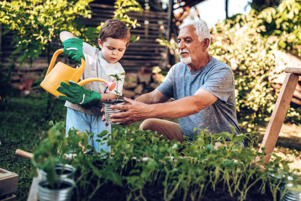 dziadek i wnuk w ogrodzie - enjoyment growth gardening equipment human age zdjęcia i obrazy z banku zdjęć