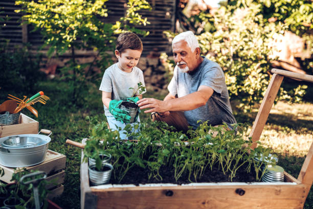 istock Grand father spending some quality time with grandson in backyard while planting 971396466