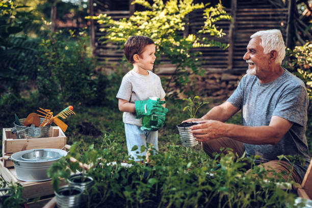 istock Grand father spending some quality time with grandson in backyard while planting 971396558