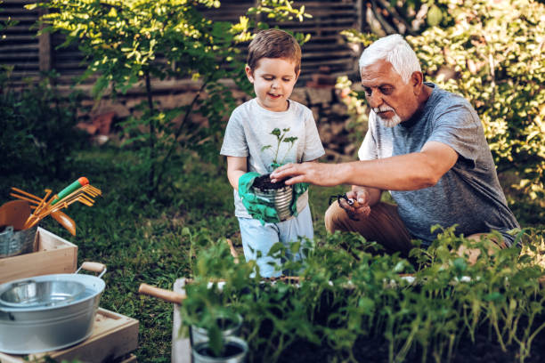 istock Grand father spending some quality time with grandson in backyard while planting 971396622