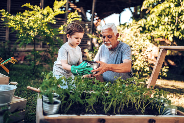 istock Grand father spending some quality time with grandson in backyard while planting 971396716
