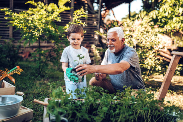 istock Grand father spending some quality time with grandson in backyard while planting 971396766