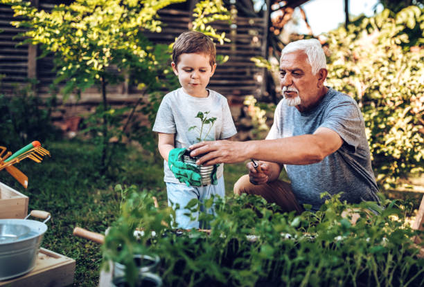 istock Grand father spending some quality time with grandson in backyard while planting 971396806