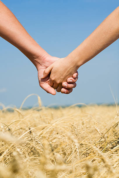 istock Two people holding hands while walking in a wheat field 97139696