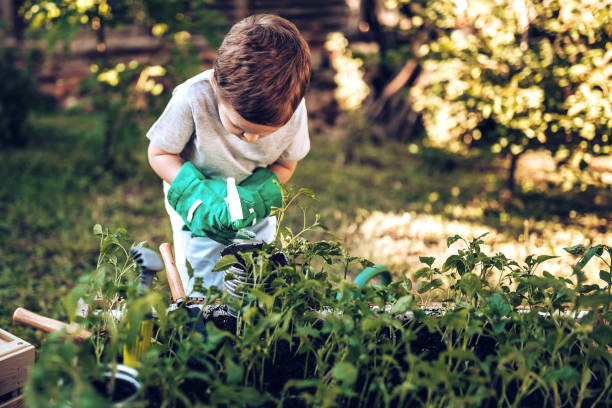 istock It is funnyfor kid in garden 971397090