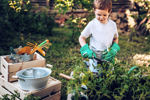 istock It is funnyfor kid in garden 971397150