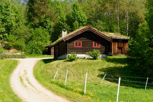 istock Brown wooden cabin 971399872