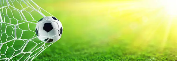 Ball In Net With Grass Background