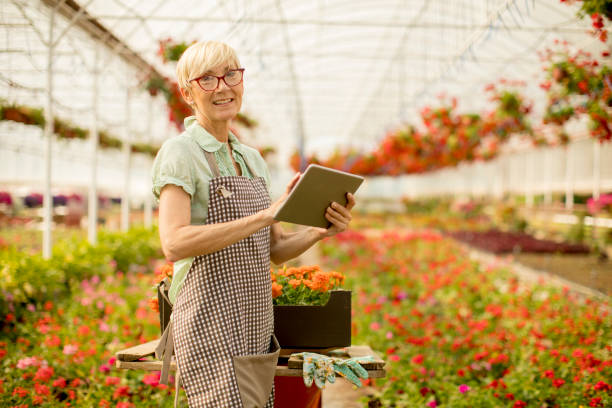 istock Senior woman using tablet in flower garden 971400296