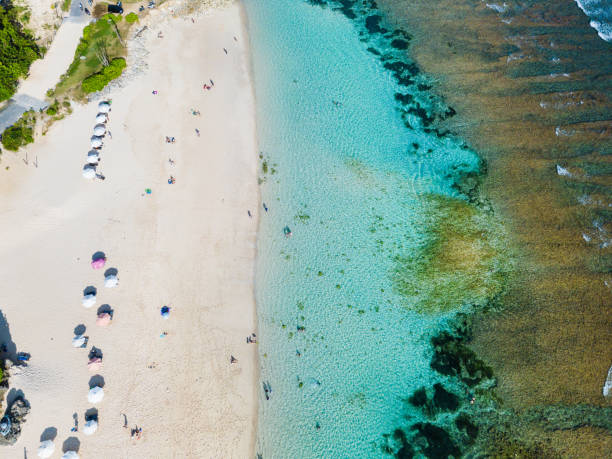 istock Beach umbrellas and blue ocean. Beach scene from above 971400380