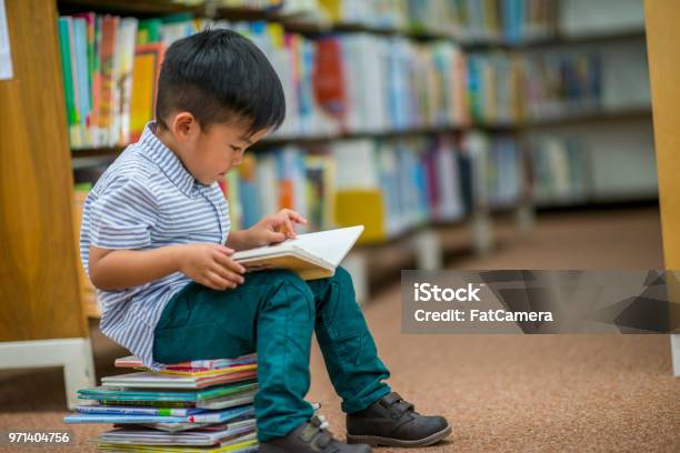 Boy Who Loves Reading Stock Photo - Download Image Now - Child, Reading, Library