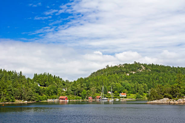 istock Norwegian homes on island 971409242