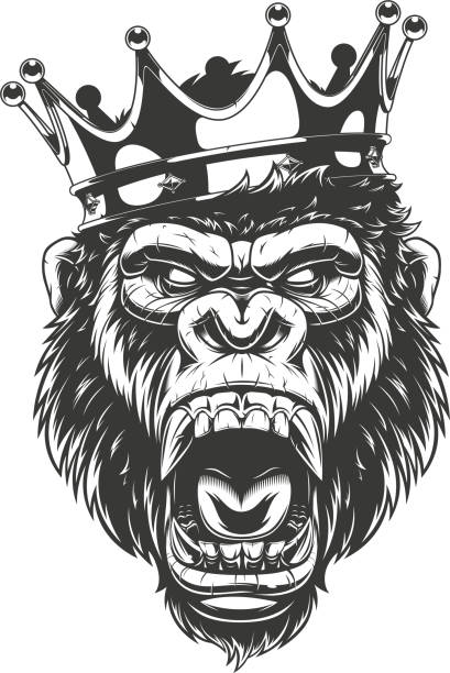 ilustraciones, imágenes clip art, dibujos animados e iconos de stock de cabeza de gorila feroz - adulador
