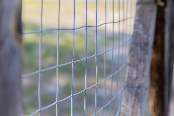 istock Iron mesh for fence with rust and paint 971417228