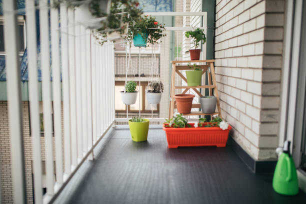 istock Small urban terrace with plants 971417426