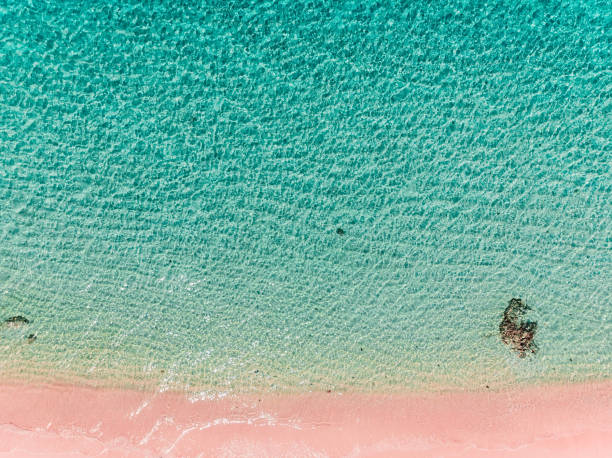 spiaggia tropicale con mare e sabbia rosa dal drone. isole komodo - foto aerea - tenggara foto e immagini stock