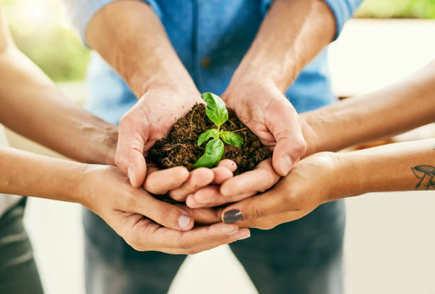 istock Growth requires the right amount of commitment and care 971427096