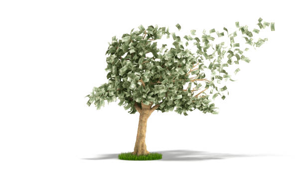 istock dollar tree with hundred dollar bills on white 3d illustration 971429746