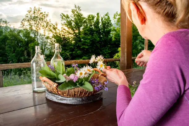 Woman Arranging  Wickerbasket Of Different Wild Herbs And Edible Flowers