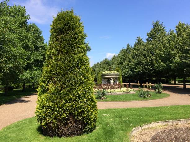 istock Regent's Park in London 971437636