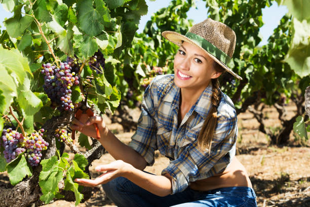 istock Woman working on winery yard 971438058