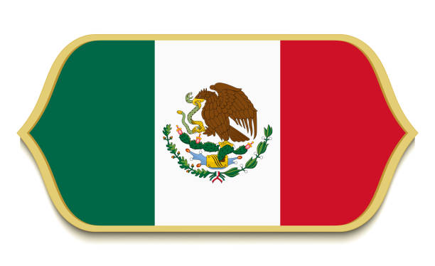 istock Mexico. Flat national flag icon button. Mexican symbol isolated on white background. 971441038