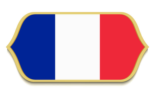 illustrazioni stock, clip art, cartoni animati e icone di tendenza di francia. pulsante dell'icona della bandiera nazionale piatta. simbolo francese isolato su sfondo bianco. - france germany flag white background