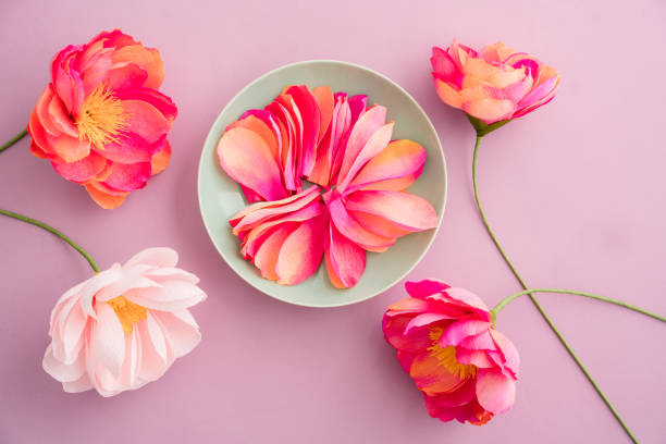 istock Crepe paper peony flowers 971455072