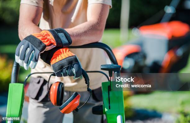 Landscaping Contractor Work Stock Photo - Download Image Now - Landscaped, Business, Mowing