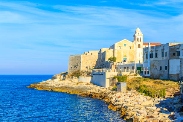 istock View of Vieste city 971501148