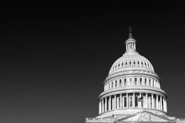 흑인과 백인, 워싱턴 dc에서 해돋이에 미국 미 국회 의사당 건물 - photography urban scene vertical toned image 뉴스 사진 이미지