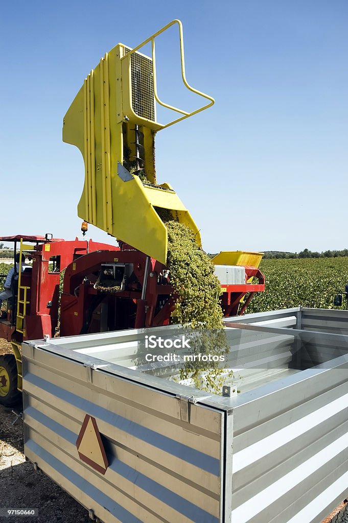 Traubenernte Maschine - Lizenzfrei Agrarbetrieb Stock-Foto