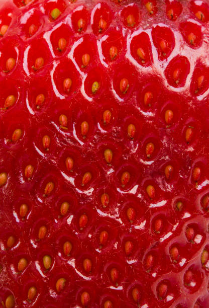 istock texture of a strawberry close-up 971507650