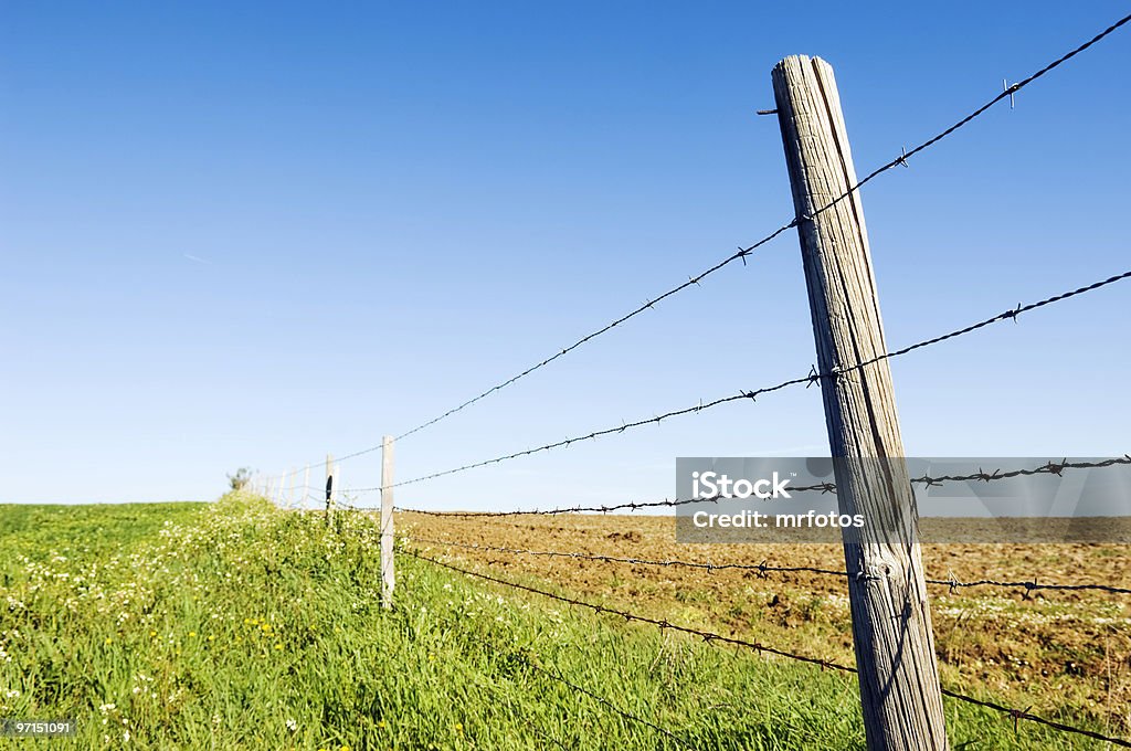 Barbwire muro - Foto de stock de Agricultura royalty-free