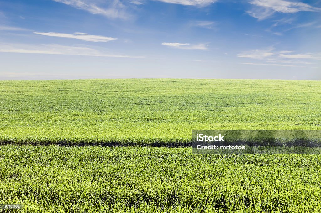 Recorte de campo - Foto de stock de Acima royalty-free