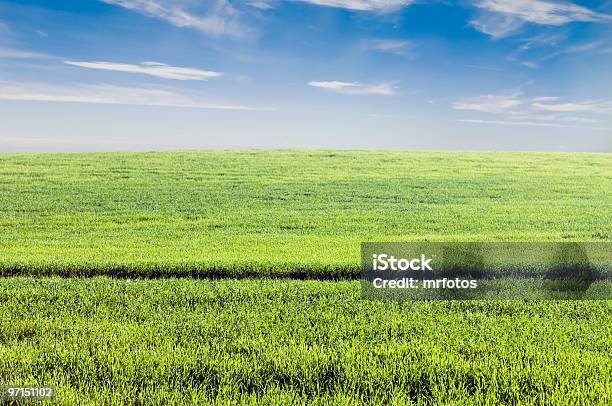 Foto de Recorte De Campo e mais fotos de stock de Acima - Acima, Agricultura, Ajardinado