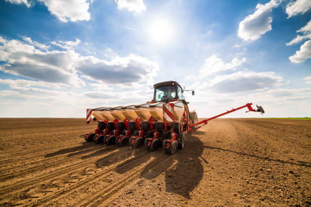 istock Farmer seeding, sowing crops at field. 971529538