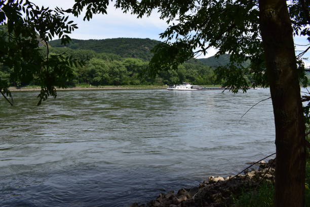 istock riverview near Namedy at river Rhine 971529900