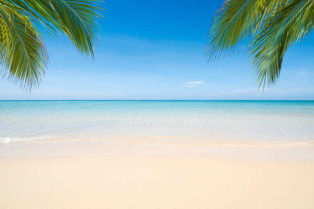 Sea view tropical beach with sunny sky.