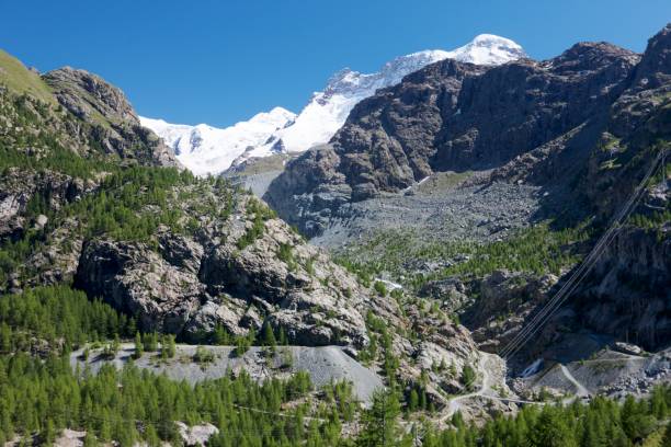 swiss valley - jungfrau waterfall tree nature imagens e fotografias de stock