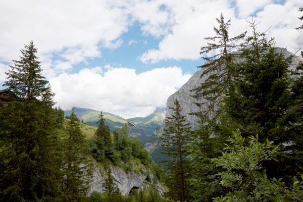 swiss valley - jungfrau waterfall tree nature imagens e fotografias de stock