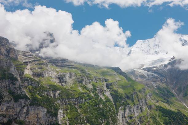 swiss valley - jungfrau waterfall tree nature imagens e fotografias de stock