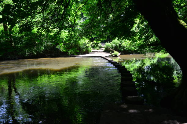 istock Stepping stones in the River Mole at Boxhill in Dorking, Surrey, 971546340