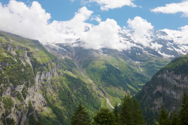 スイスヴァレイ - jungfrau waterfall tree nature ストックフォトと画像